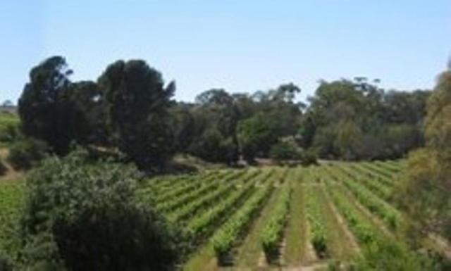 טנודה Stonewell Cottages And Vineyards מראה חיצוני תמונה