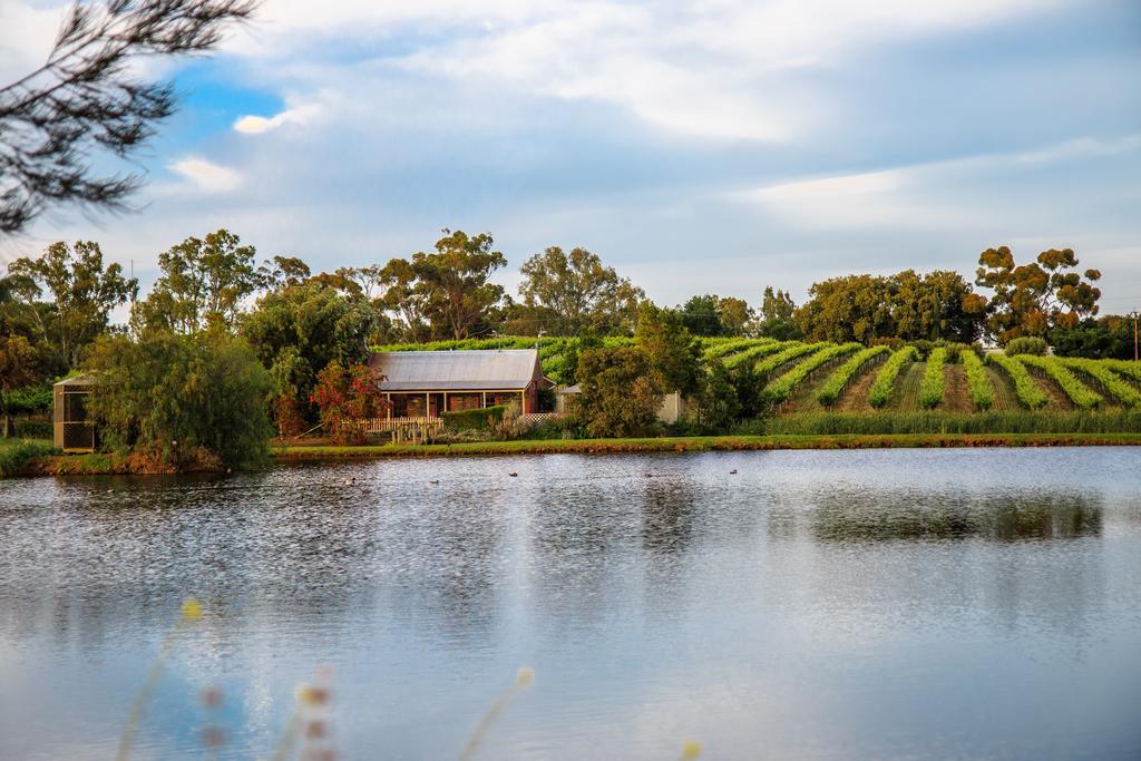 טנודה Stonewell Cottages And Vineyards מראה חיצוני תמונה
