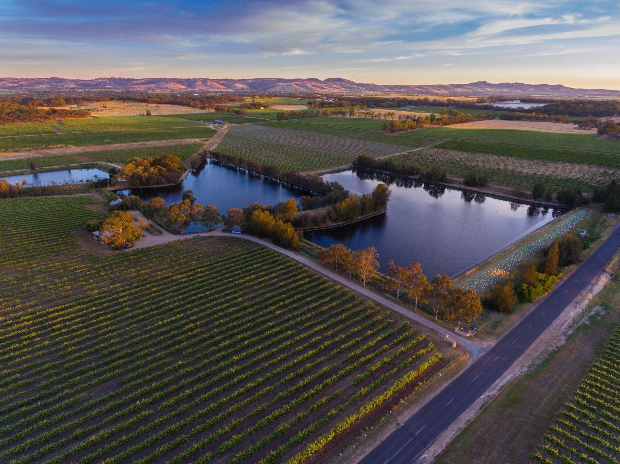 טנודה Stonewell Cottages And Vineyards מראה חיצוני תמונה