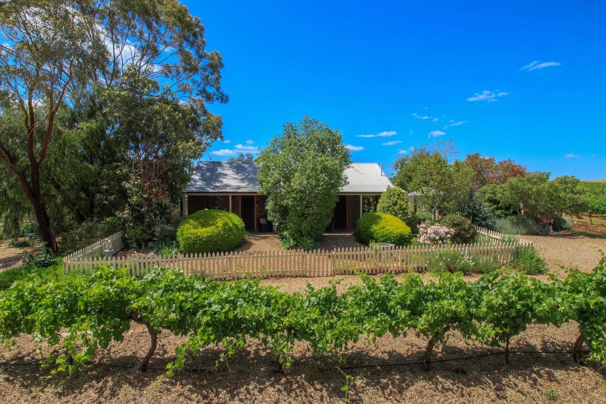 טנודה Stonewell Cottages And Vineyards מראה חיצוני תמונה