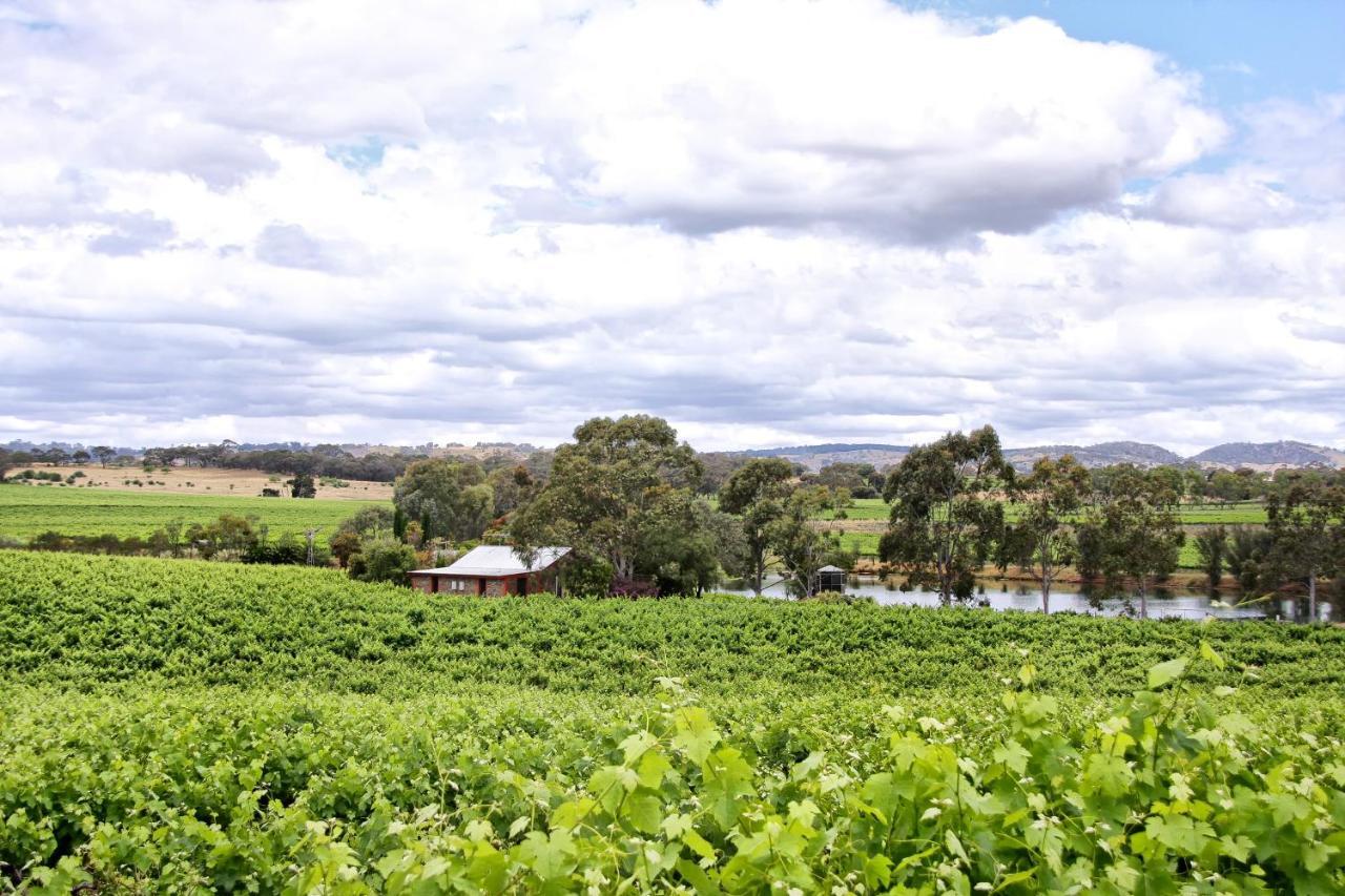 טנודה Stonewell Cottages And Vineyards מראה חיצוני תמונה